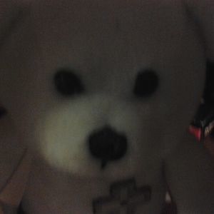 Meet your Posher, Jocelyn